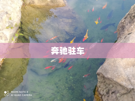 奔驰驻车
