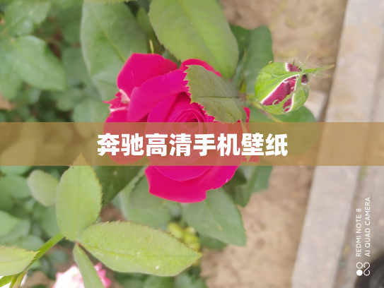 奔驰高清手机壁纸