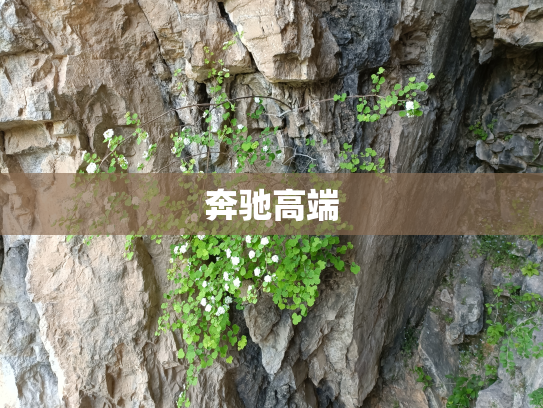 奔驰高端