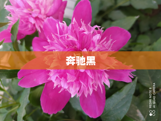 奔驰黑