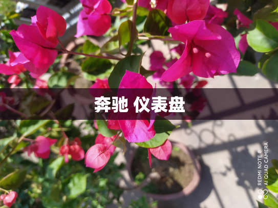 奔驰 仪表盘
