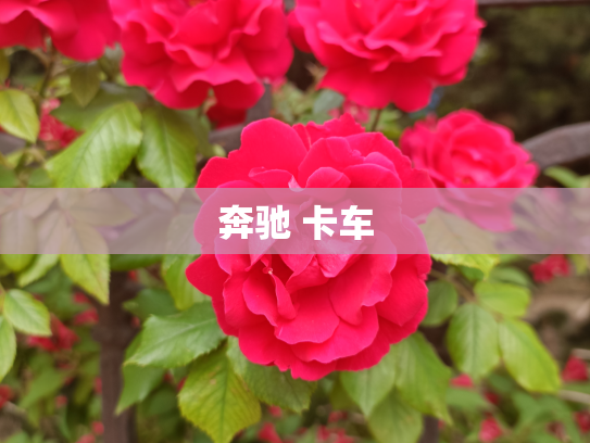 奔驰 卡车