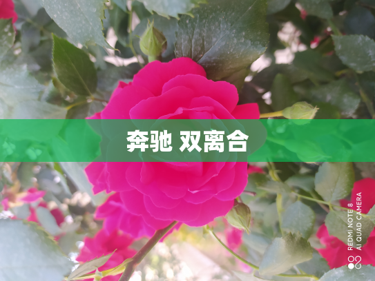 奔驰 双离合