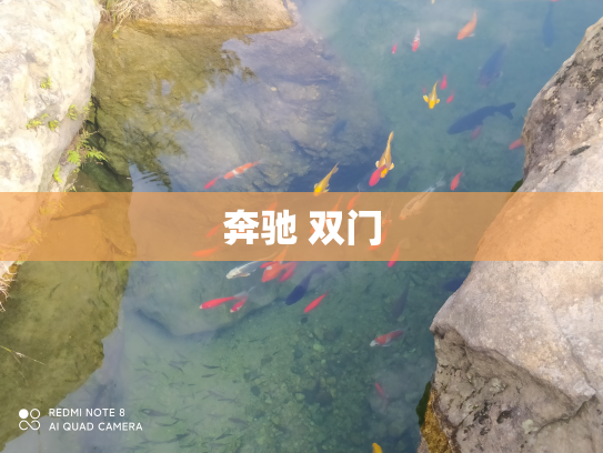 奔驰 双门
