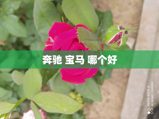奔驰 宝马 哪个好