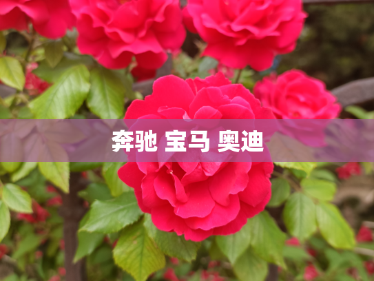 奔驰 宝马 奥迪