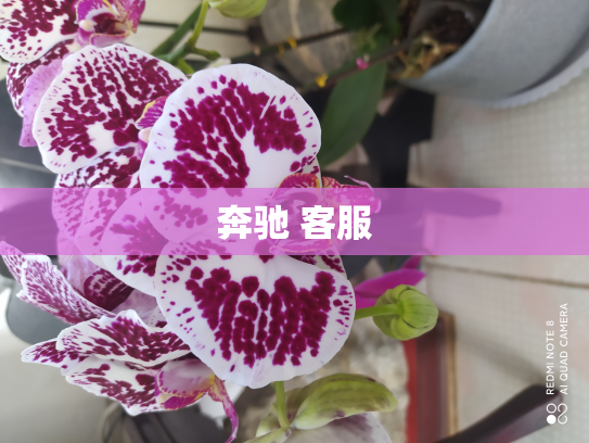 奔驰 客服