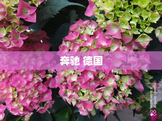 奔驰 德国