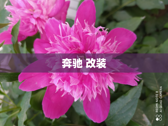 奔驰 改装