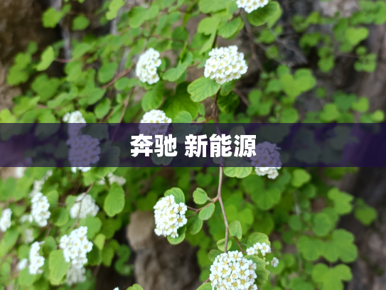 奔驰 新能源