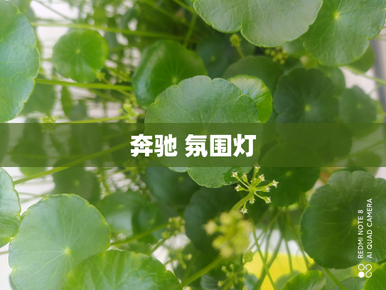 奔驰 氛围灯