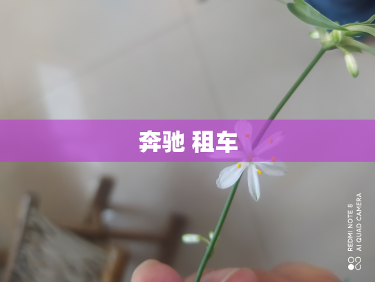 奔驰 租车