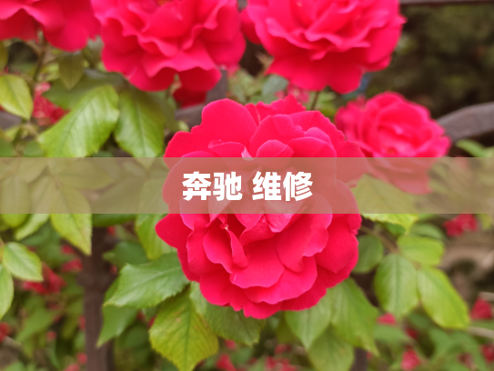 奔驰 维修