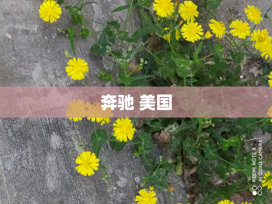 奔驰 美国