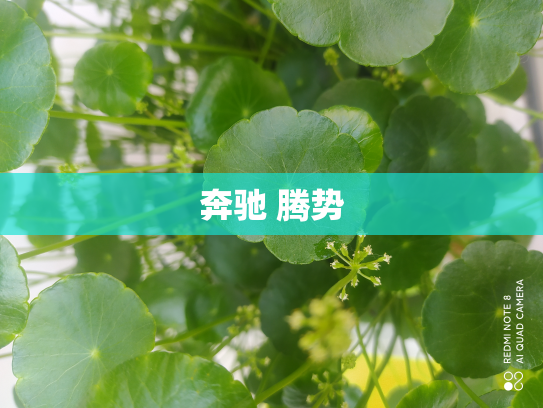 奔驰 腾势