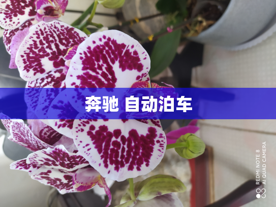 奔驰 自动泊车