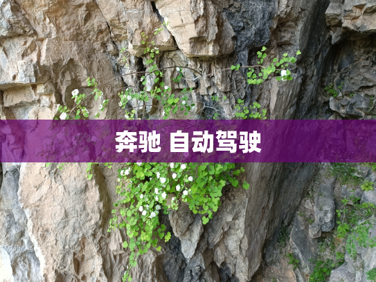 奔驰 自动驾驶