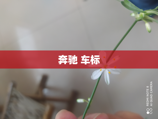 奔驰 车标