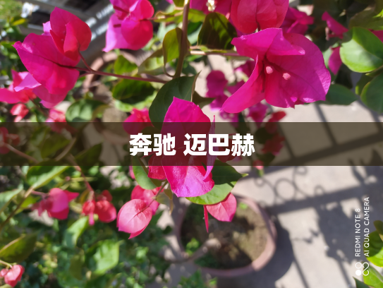 奔驰 迈巴赫