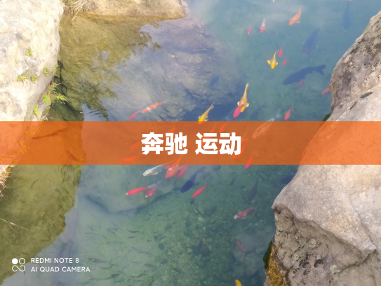 奔驰 运动