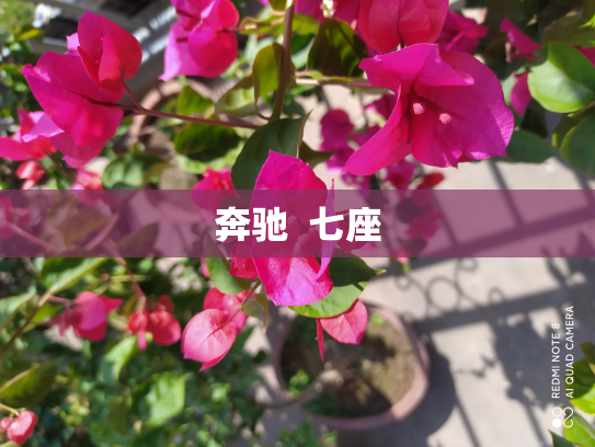 奔驰  七座