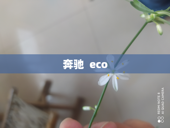 奔驰  eco