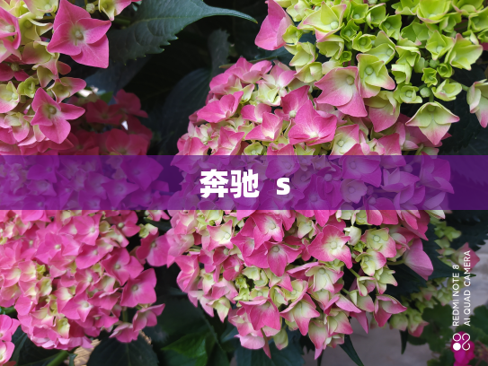 奔驰  s