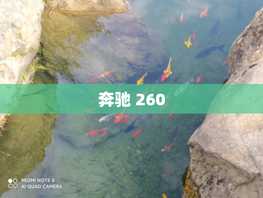 奔驰 260