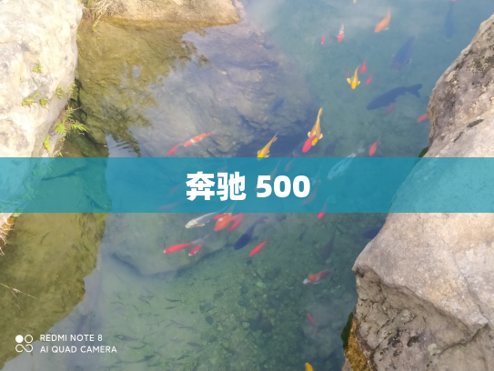 奔驰 500