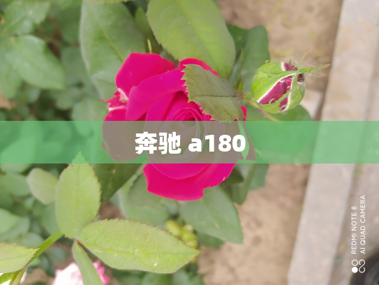 奔驰 a180