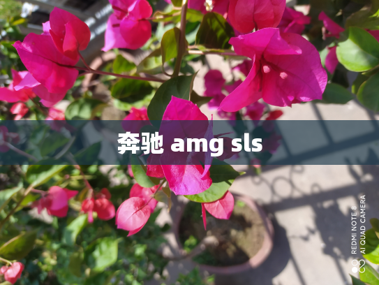 奔驰 amg sls