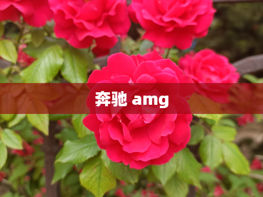 奔驰 amg