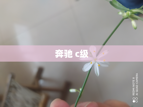 奔驰 c级