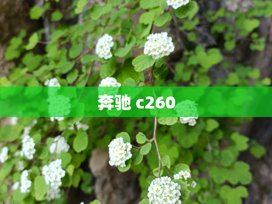 奔驰 c260