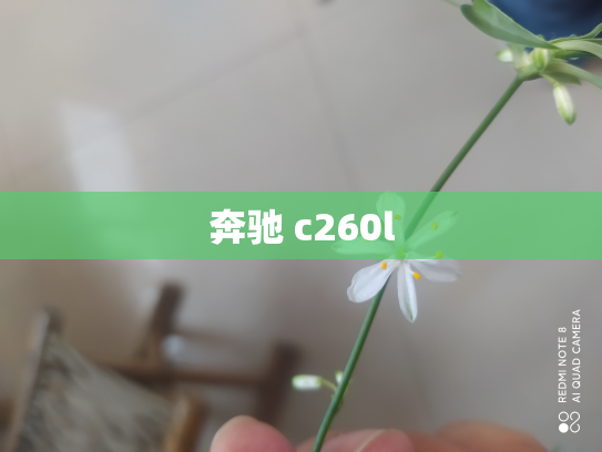 奔驰 c260l
