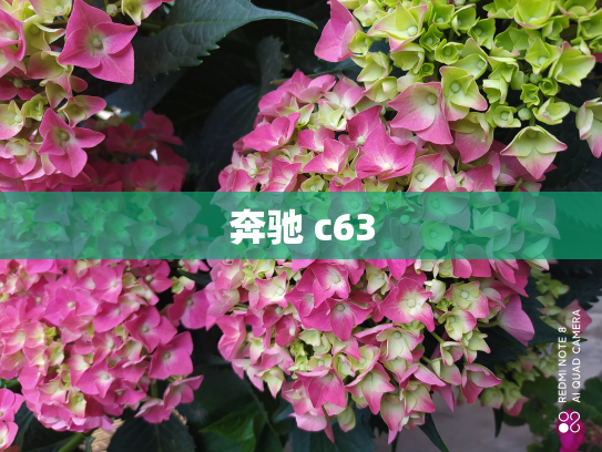 奔驰 c63