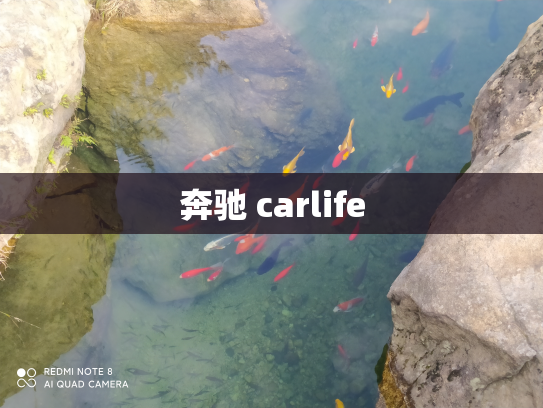 奔驰 carlife