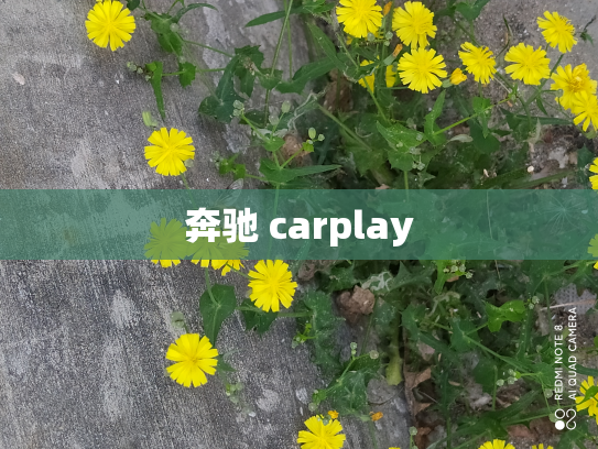 奔驰 carplay