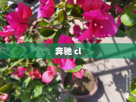 奔驰 cl