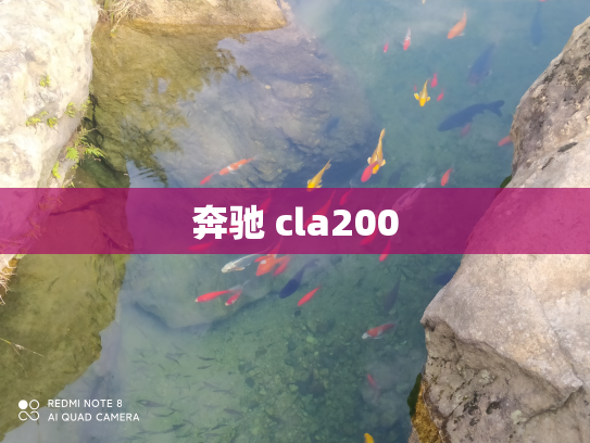 奔驰 cla200