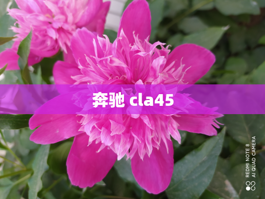 奔驰 cla45