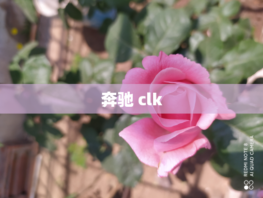 奔驰 clk