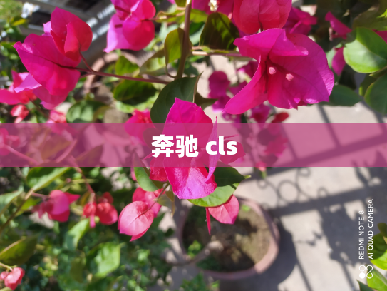 奔驰 cls