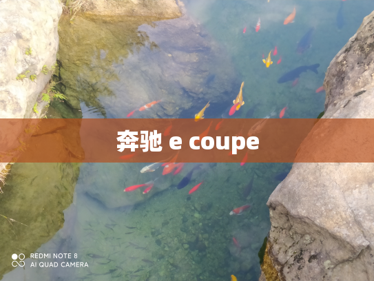 奔驰 e coupe