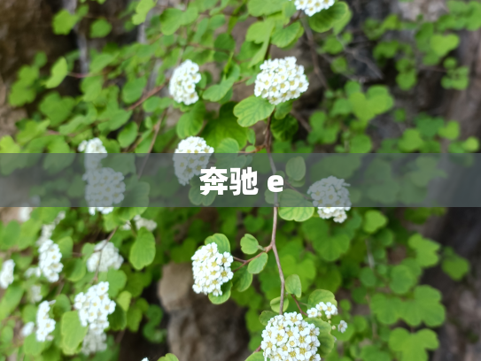 奔驰 e