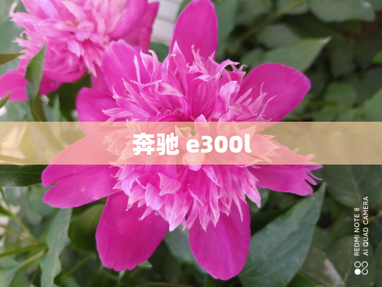 奔驰 e300l