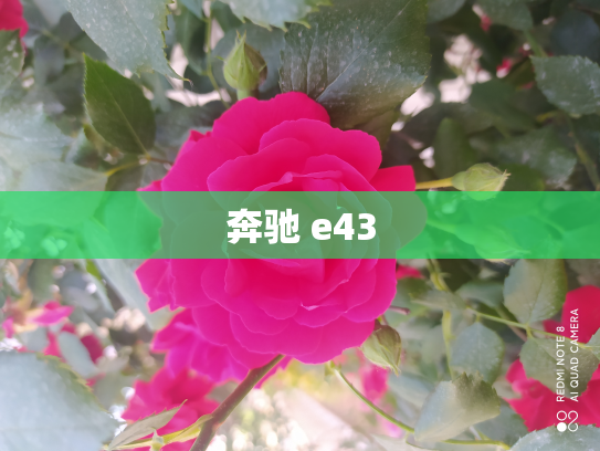 奔驰 e43