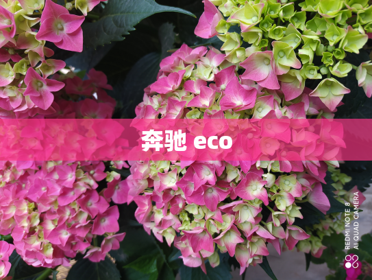 奔驰 eco