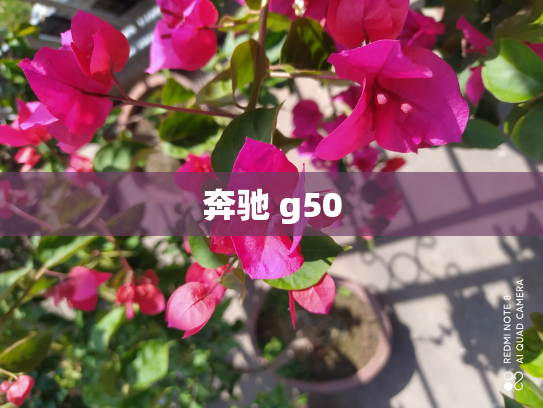 奔驰 g50