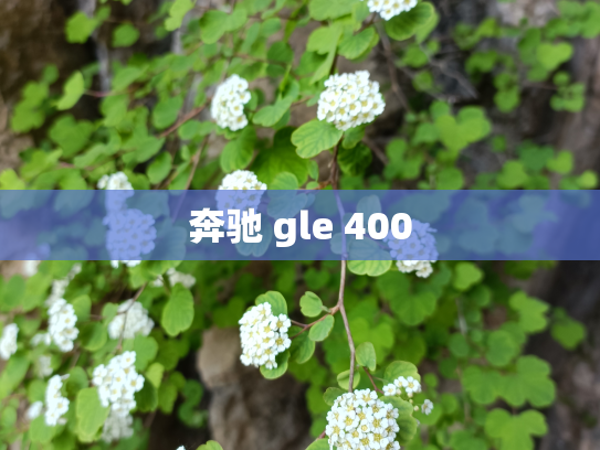 奔驰 gle 400